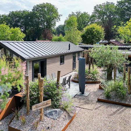 Modern Ingericht Chalet Op Groen Park Op De Veluwe Epe Zewnętrze zdjęcie