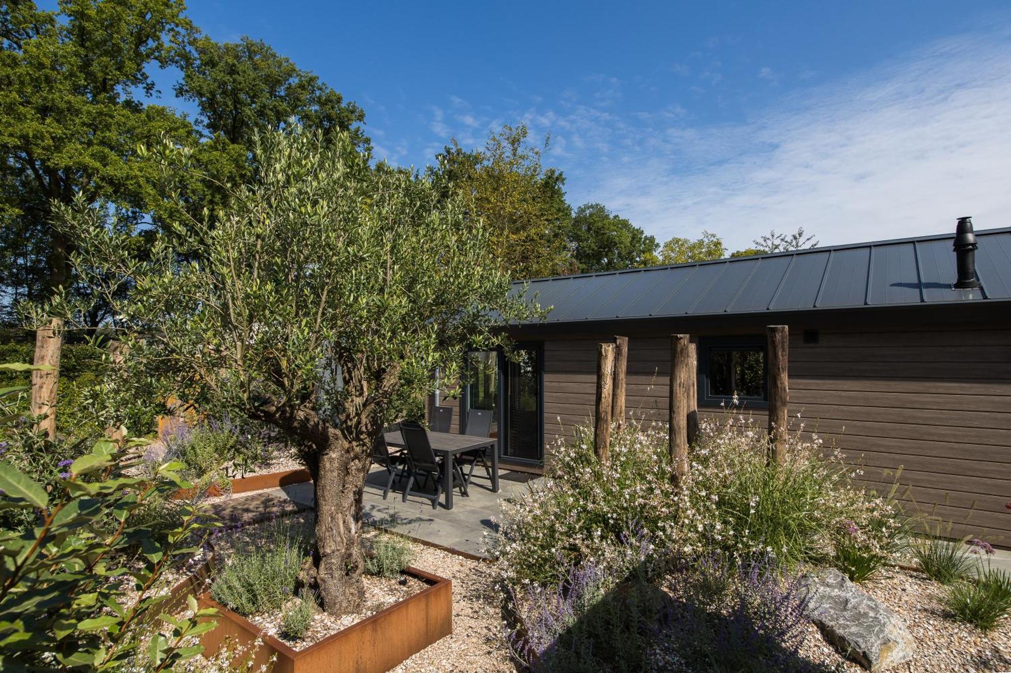 Modern Ingericht Chalet Op Groen Park Op De Veluwe Epe Zewnętrze zdjęcie