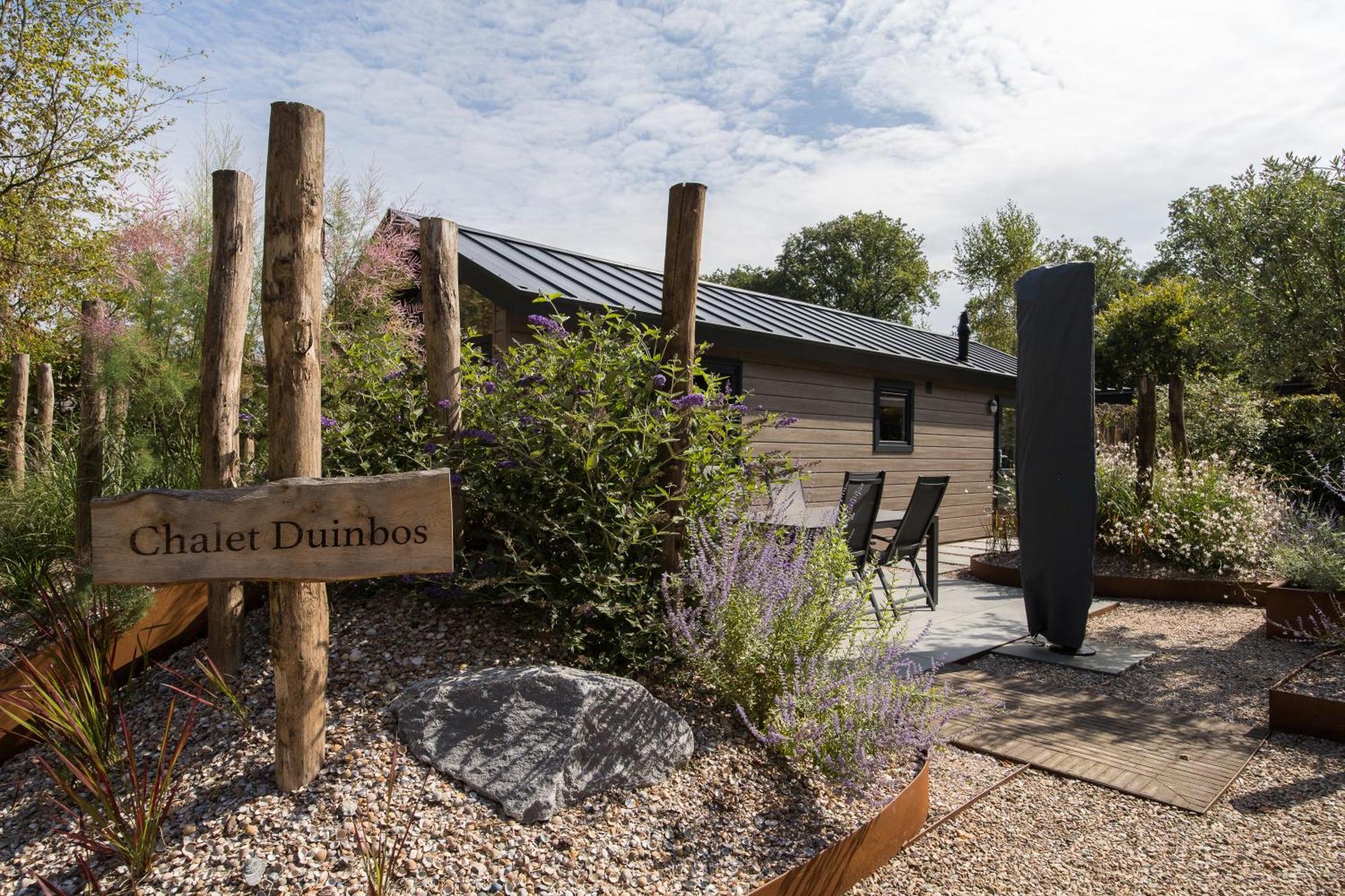Modern Ingericht Chalet Op Groen Park Op De Veluwe Epe Zewnętrze zdjęcie