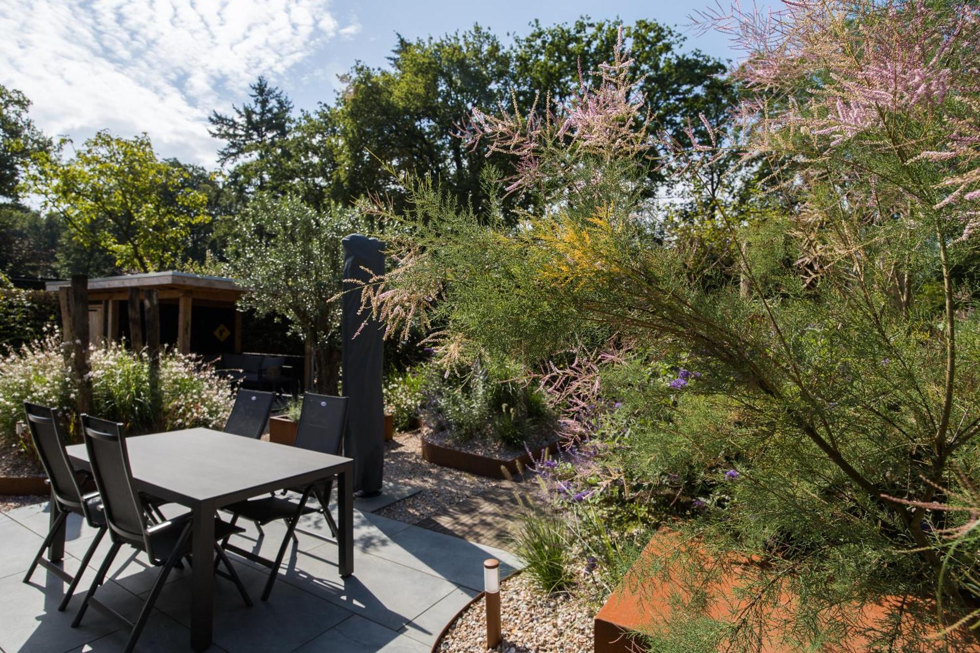 Modern Ingericht Chalet Op Groen Park Op De Veluwe Epe Zewnętrze zdjęcie