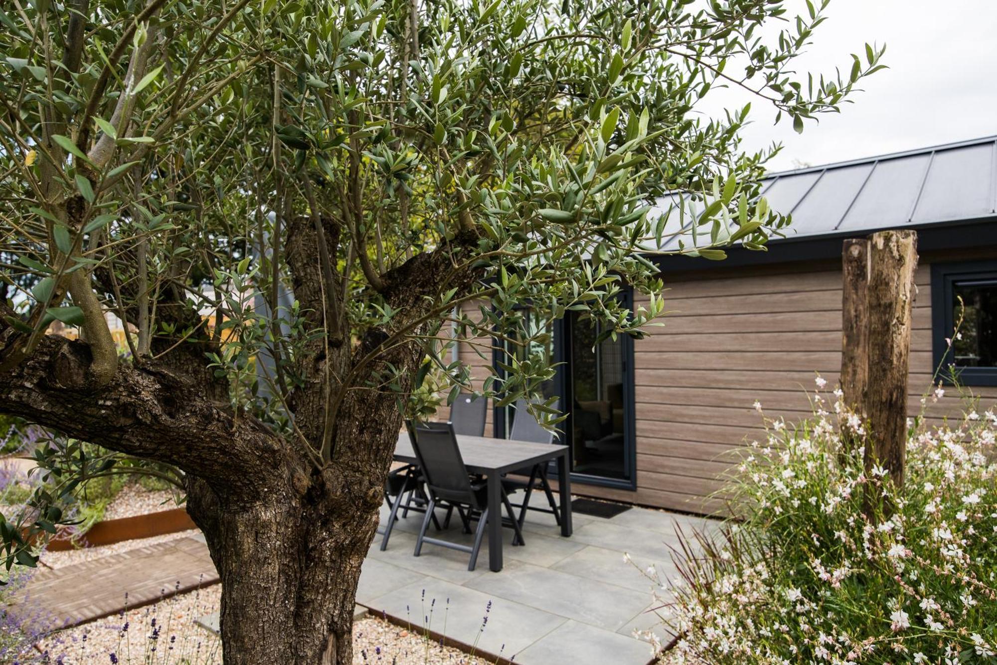 Modern Ingericht Chalet Op Groen Park Op De Veluwe Epe Zewnętrze zdjęcie