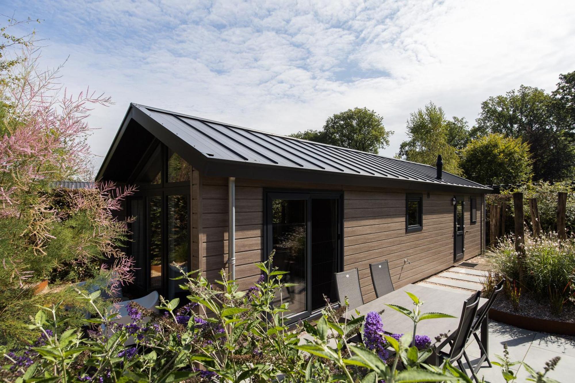 Modern Ingericht Chalet Op Groen Park Op De Veluwe Epe Zewnętrze zdjęcie