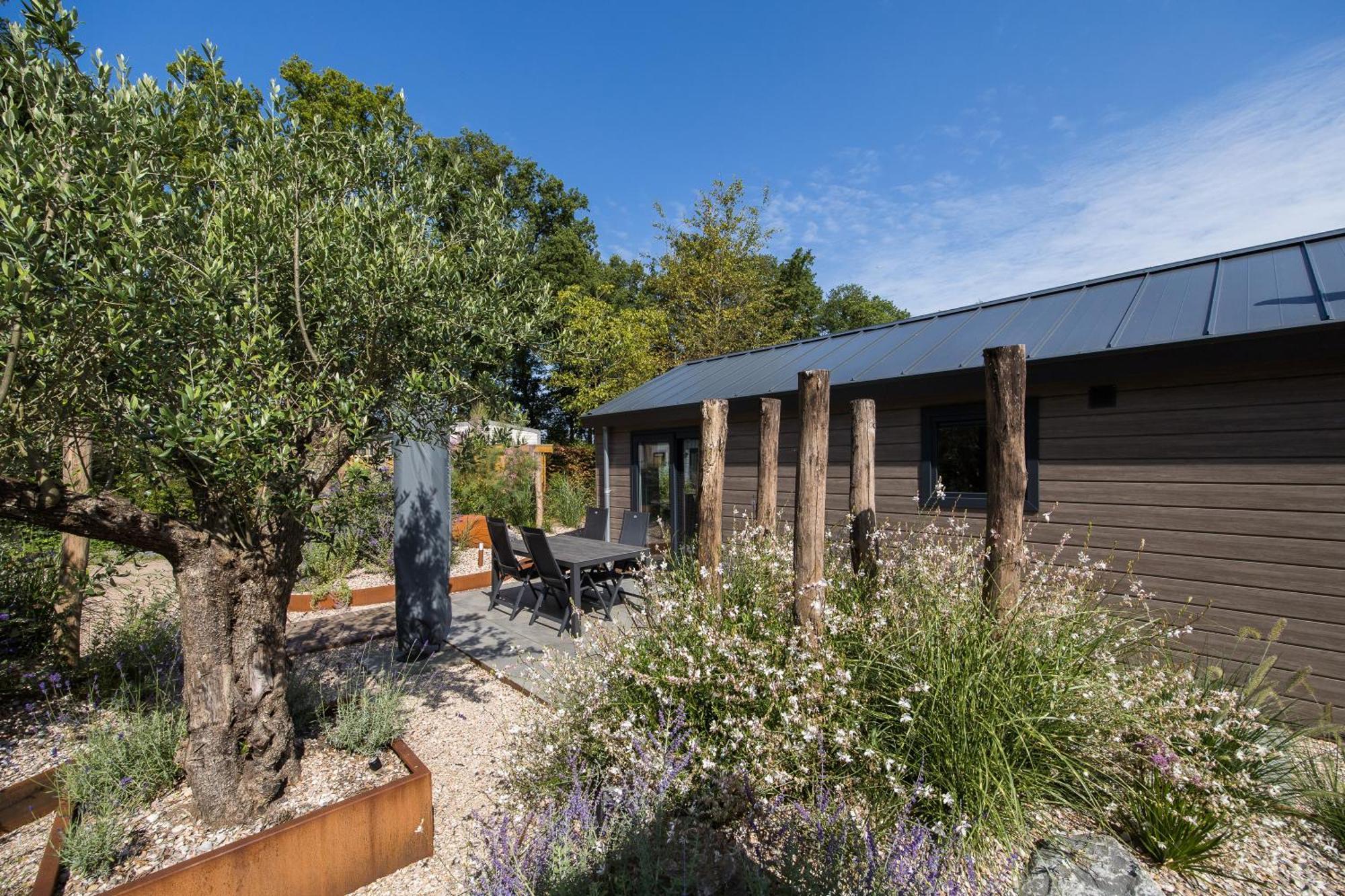 Modern Ingericht Chalet Op Groen Park Op De Veluwe Epe Zewnętrze zdjęcie