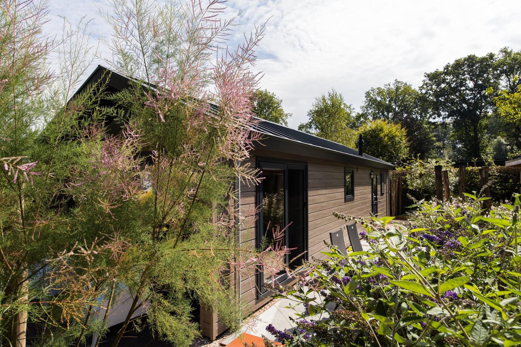Modern Ingericht Chalet Op Groen Park Op De Veluwe Epe Zewnętrze zdjęcie