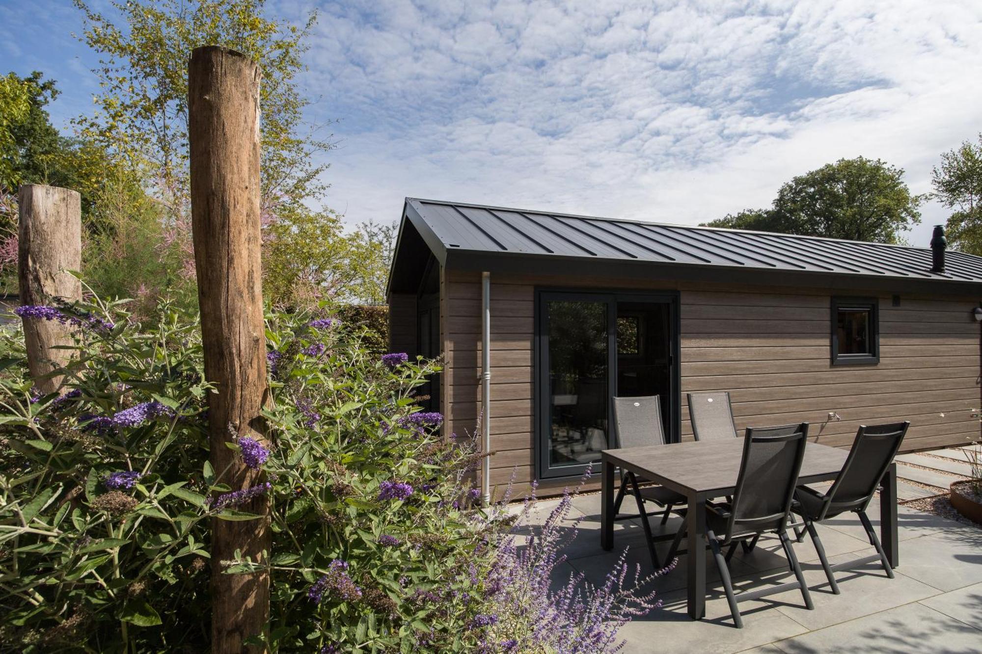Modern Ingericht Chalet Op Groen Park Op De Veluwe Epe Zewnętrze zdjęcie